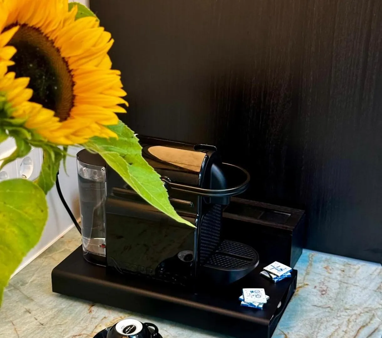 Bed & Breakfast B&B Urban Oasis Amsterdam