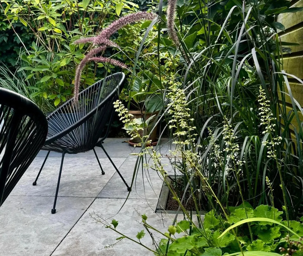 B&B Urban Oasis Amsterdam